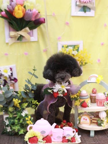 20230325NEROちゃん